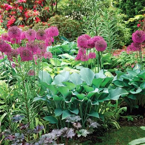 Используйте этот контрольный список весеннего садоводства для создания красивого пейзажа в течение всего года