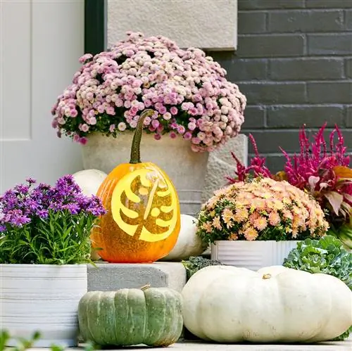 парадные ступени из листьев монстеры резные тыквы