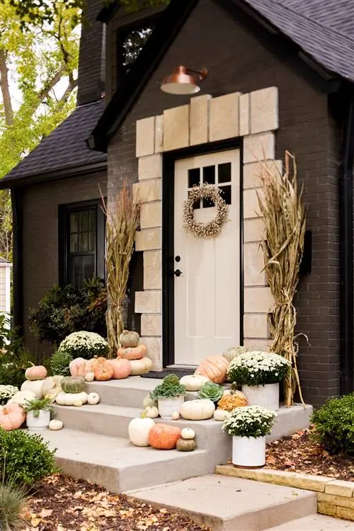 ассорти из тыквы осенний декор перед цементными ступенями