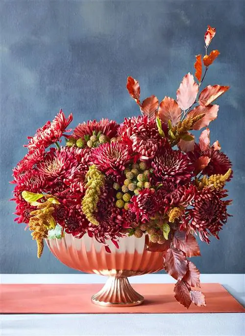 красные мамы и амарант в медной вазе