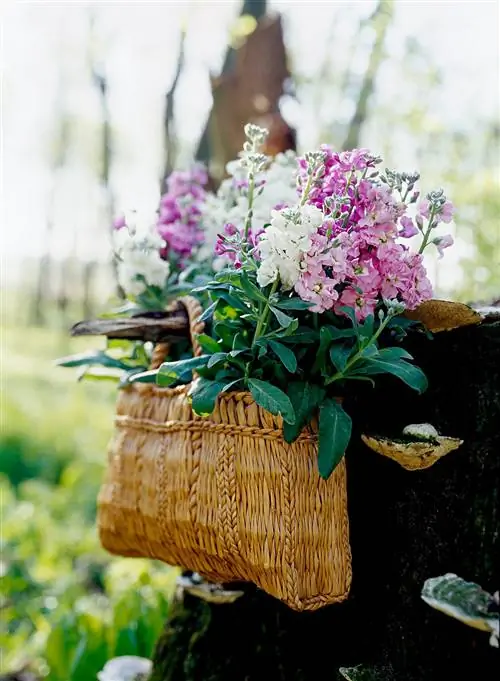Розовые и белые цветы в плетеной корзине