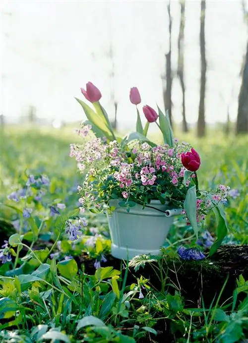 Великолепные весенние контейнерные сады