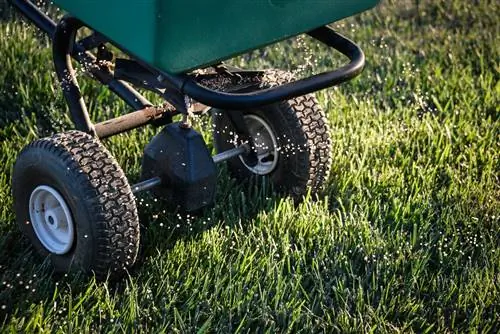 Лучшее время для внесения удобрений на газон перед зимой