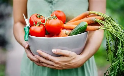 Какие овощи лучше всего выращивать, чтобы сэкономить на продуктах?