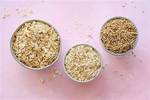 различные виды овсянки