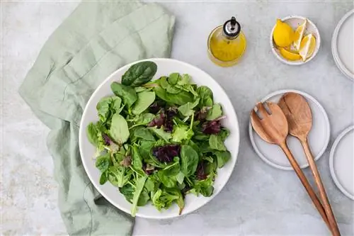 салат на тарелке