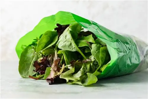 пакетик салатной зелени