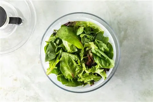 салатная зелень в блесне