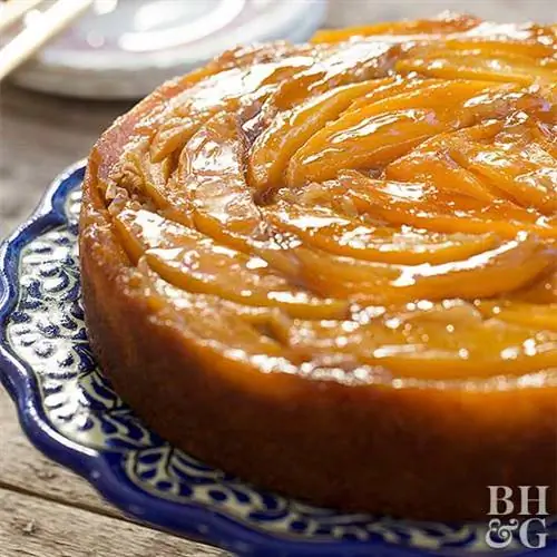 Перевернутый манговый торт