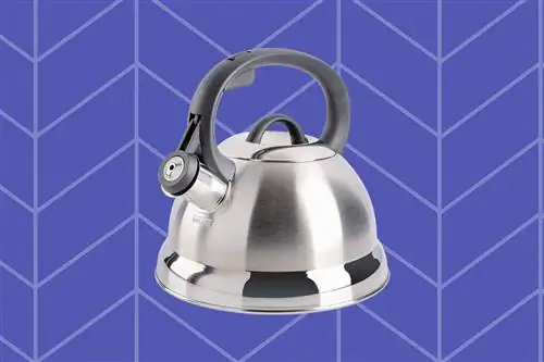 Ранние предложения сводки новостей