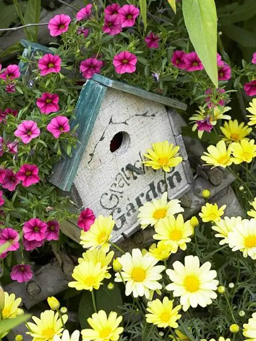 Пара пернатых листьев