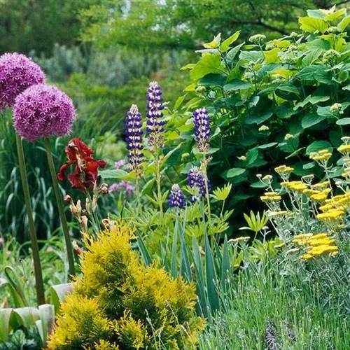 Тонкое сочетание