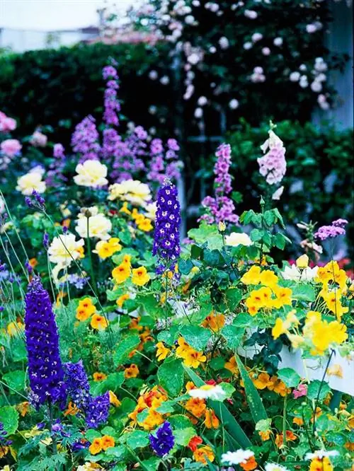 Смешайте формы