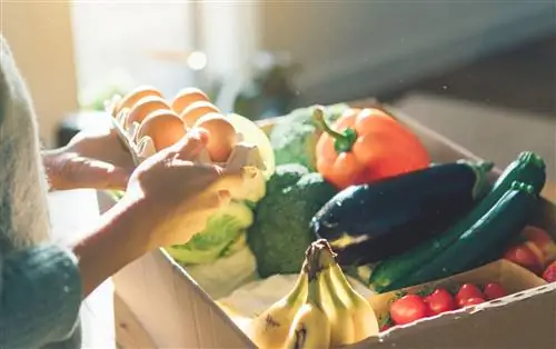 женщина распаковывает коробку с овощами CSA дома женщина распаковывает коробку с овощами CSA дома