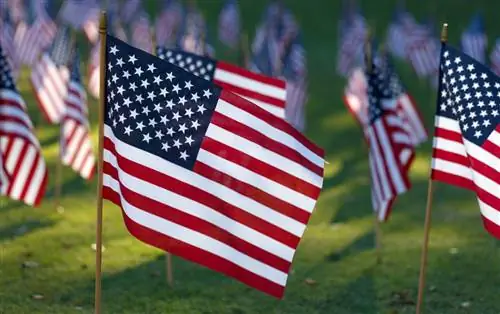 Маленькие флаги США в траве