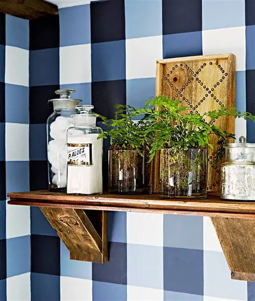Синие клетчатые настенные полки, банки с растениями