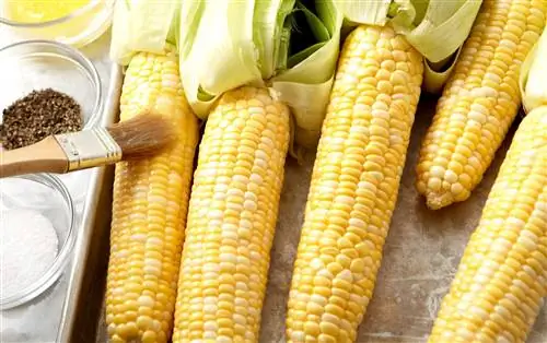 кукуруза в початках с масляной щеткой и мисками с солью и перцем