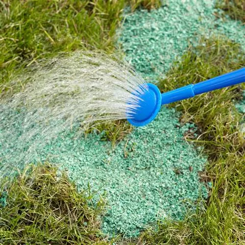 ремонт газона