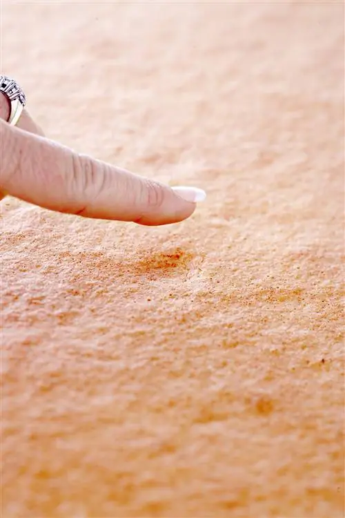 Проверка пирога на готовность пальцем