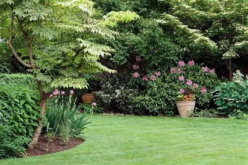 газон с клумбами и горшечными растениями