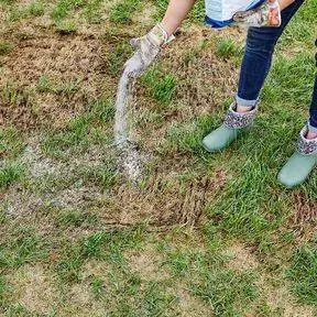 рассыпать семена травы по оголенным местам