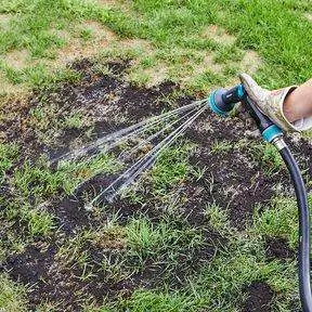 пропитать верхний слой почвы и семена травы шлангом