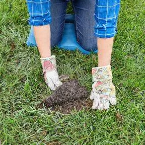 накройте голый участок куском дерна