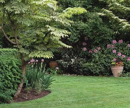 Как легко отремонтировать газон, покрытый неоднородными пятнами