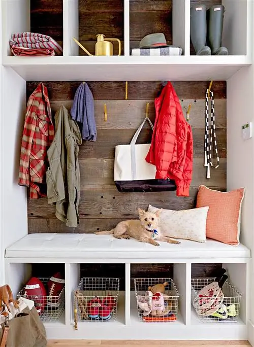 грязная комната для хранения собак