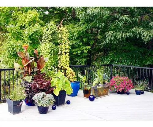 Роговой сад