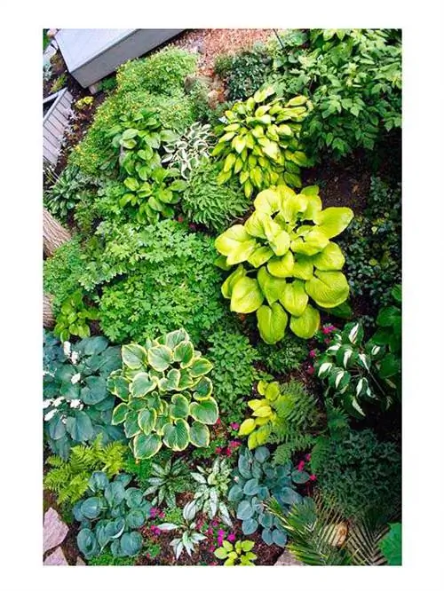 Роговой сад