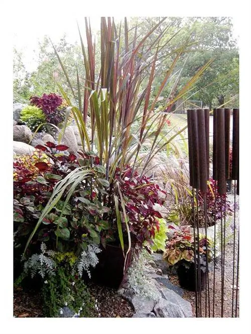 Роговой сад