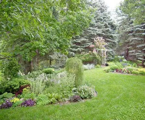 Роговой сад