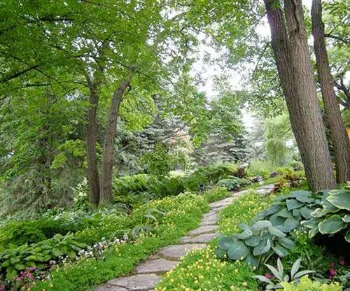 Роговой сад