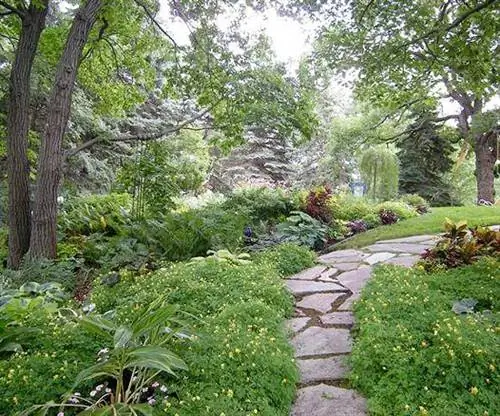 Роговой сад