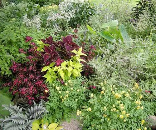 Роговой сад