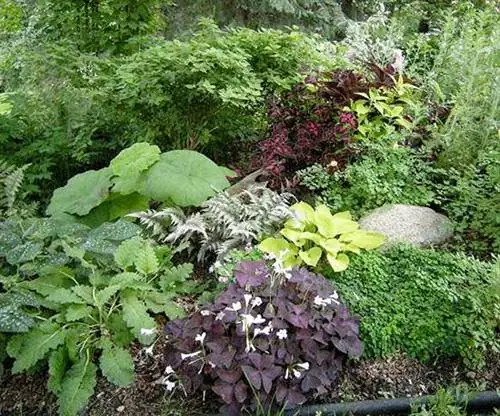 Роговой сад