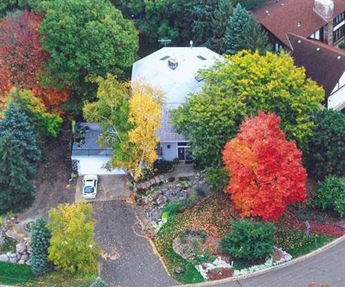 15 советов по теневыносливым многолетникам от садовника из Миннесоты