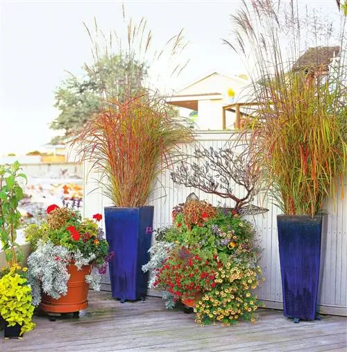 контейнер садовые цветы травы