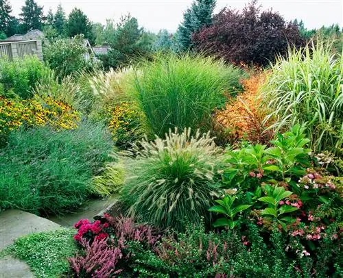 Многолетняя граница