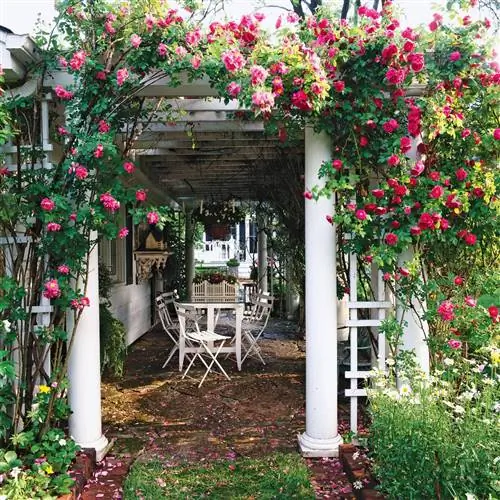 Розовое покрытие Pergola зона отдыха