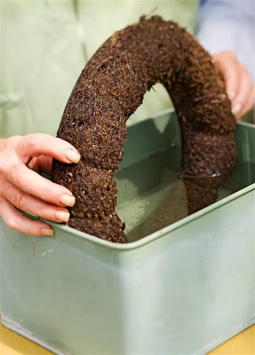 Моховой венок, погруженный в воду