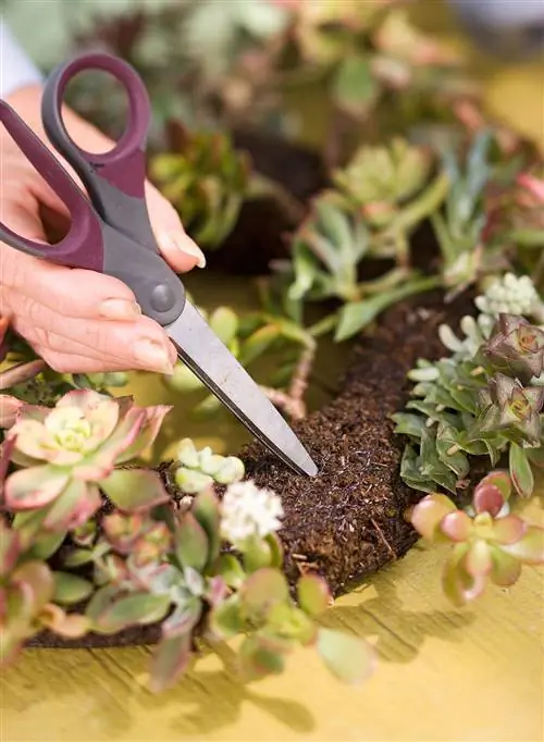 Ножницы, делающие отверстия в венке