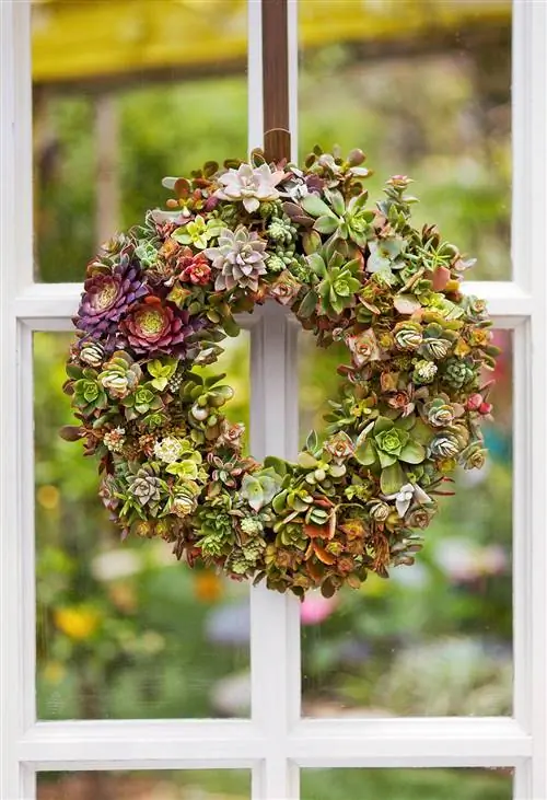 Сочный венок висит на окне