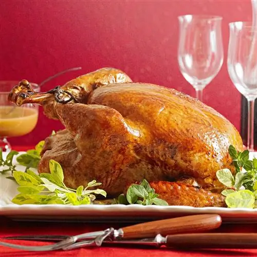 Как долго солить индейку и другие секреты идеальной птицы