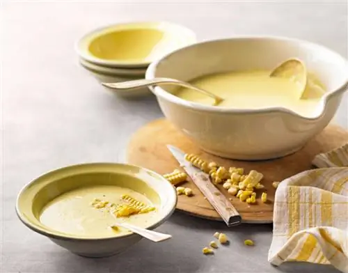 Суп из свежей кукурузы Суп из свежей кукурузы