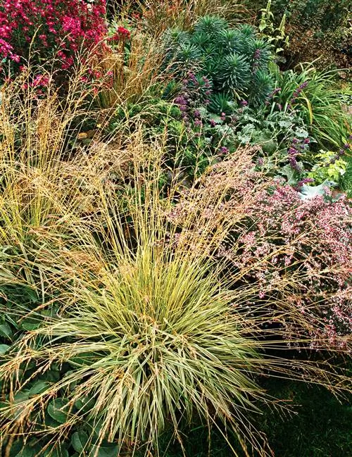 Трава волос