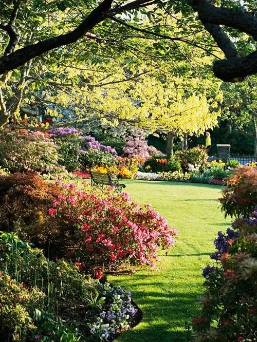 Ваш сезонный график ухода за газоном на Среднем Западе