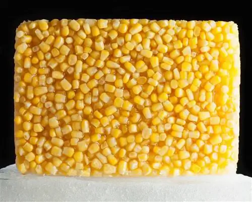 замороженная кукуруза на глыбе льда
