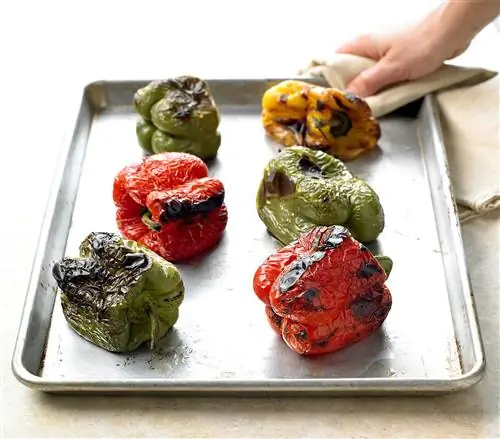 жареный красный зеленый желтый сладкий перец листовая сковорода